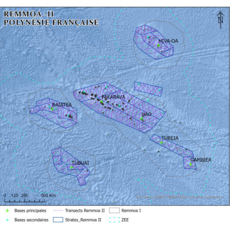 Map-scaled-Remmoa-II.jpeg (57 KB)