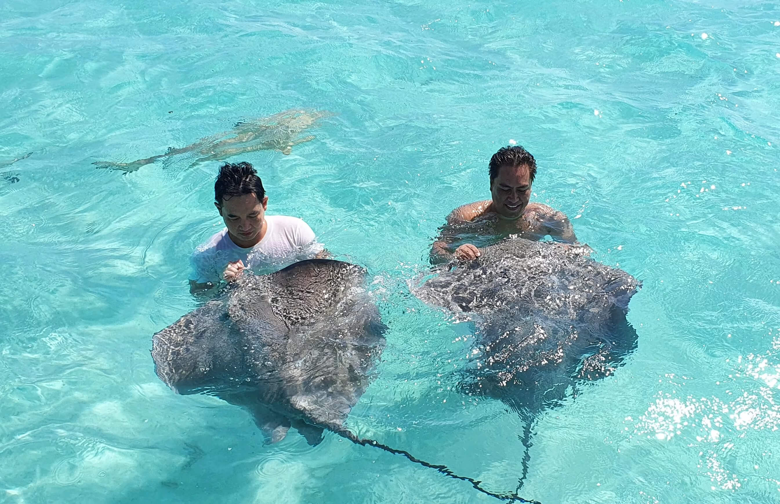 nager-avec-les-raies-lagon-de-moorea.jpeg (586 KB)