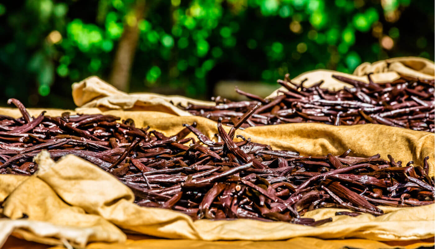 affinage-des-gousses-de-vanille-de-tahiti.jpeg (177 KB)