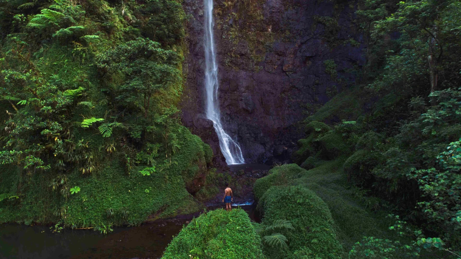 cascade-puraha-a-papenoo-tahiti.jpg (350 KB)